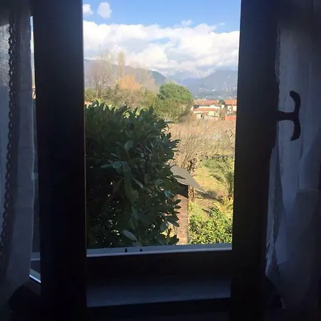 La Casa Di Elsa Marina di Massa
